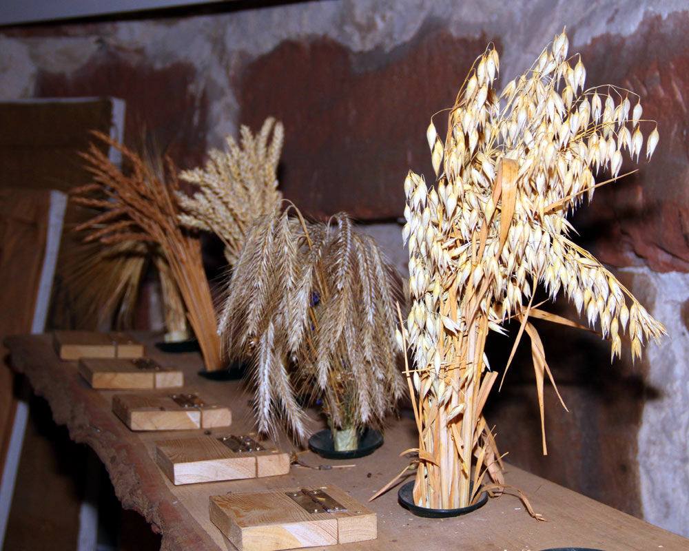 Getreidesorten in der Mühle in Gildehaus
